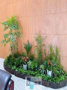 虎丘企业大厅绿植组合摆放